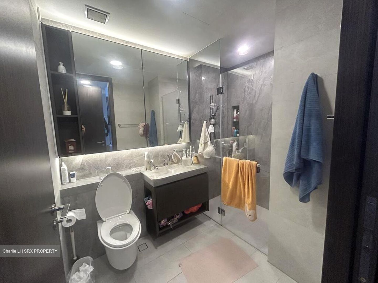 Parc Clematis (D5), Apartment #507089691